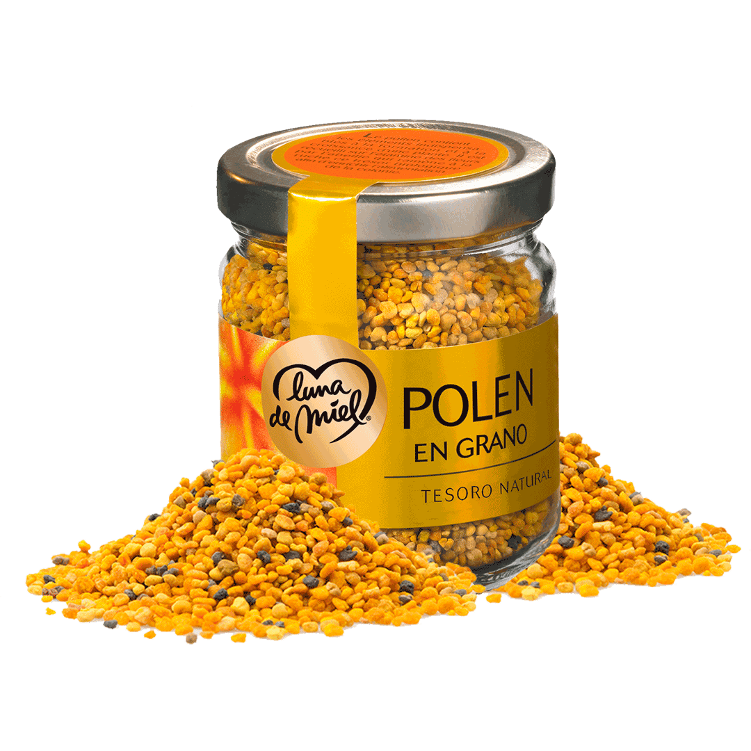 Polen de Abeja 100% Natural – Mr Sabor